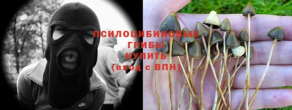 2c-b Алзамай