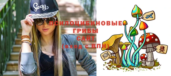 индика Алексеевка