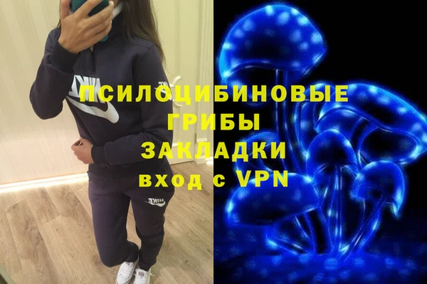 индика Алексеевка