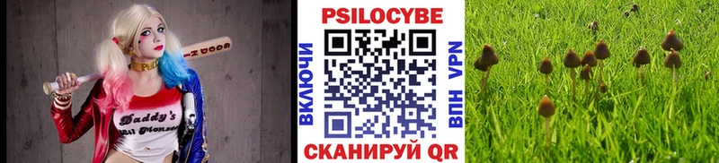 Псилоцибиновые грибы Magic Shrooms  Бирск 
