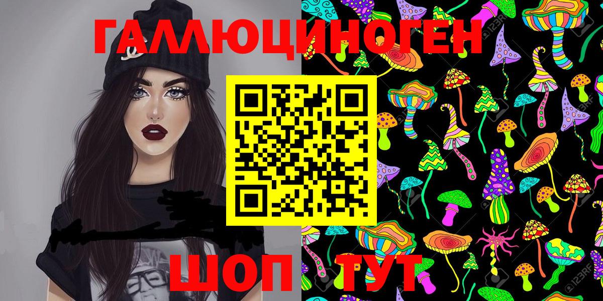 Псилоцибиновые грибы Psilocybe  Вход с VPN  Бирск 