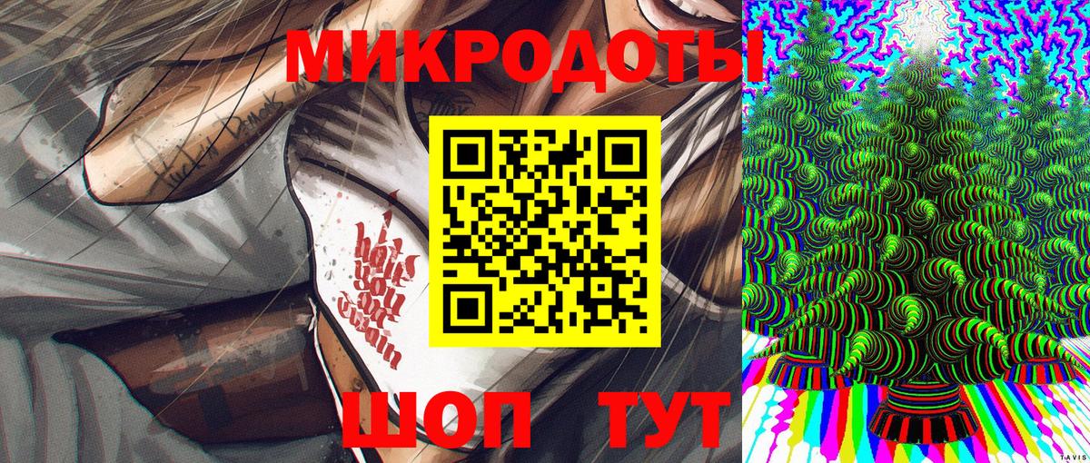 Псилоцибиновые грибы Psilocybe  Бирск 