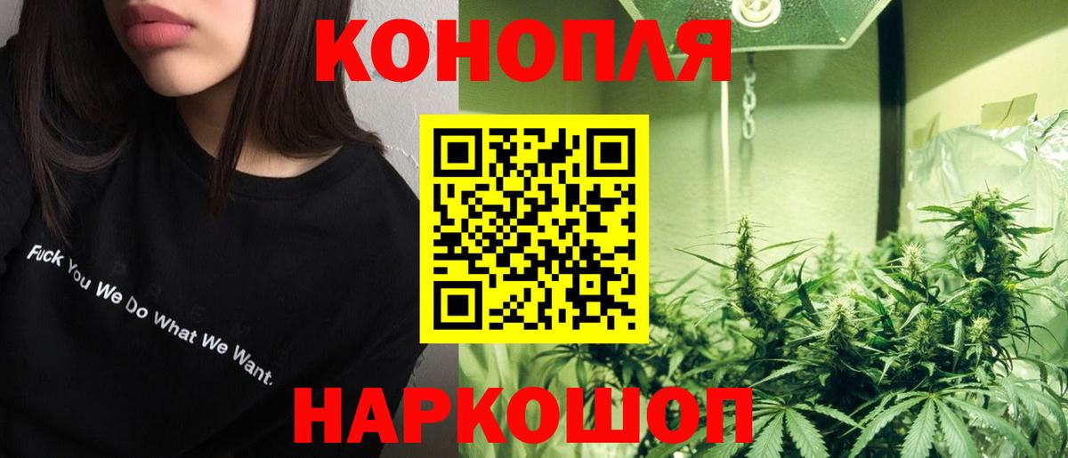 Бошки Шишки сатива  Вход с VPN  Бирск  Канабис сатива 